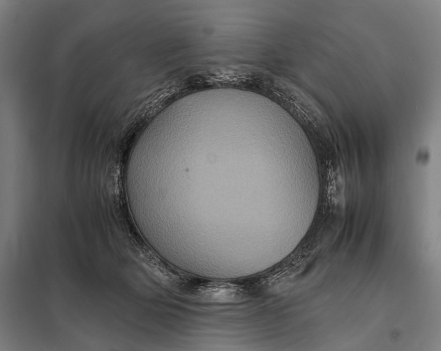 X0000097840514200803281227