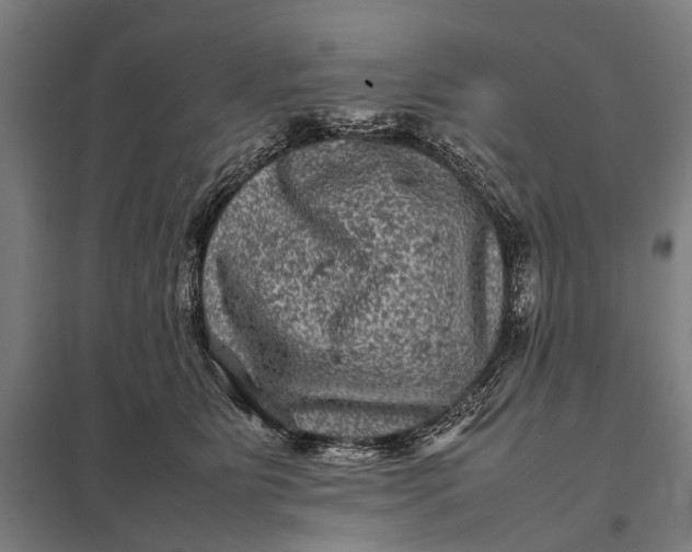 X0000097840515200803281227