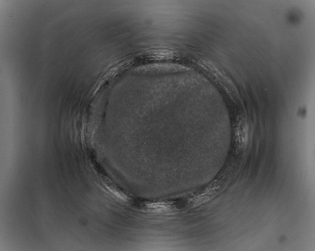 X0000097840516200803281227