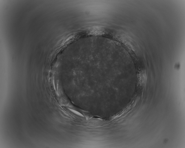 X0000097840517200803281227