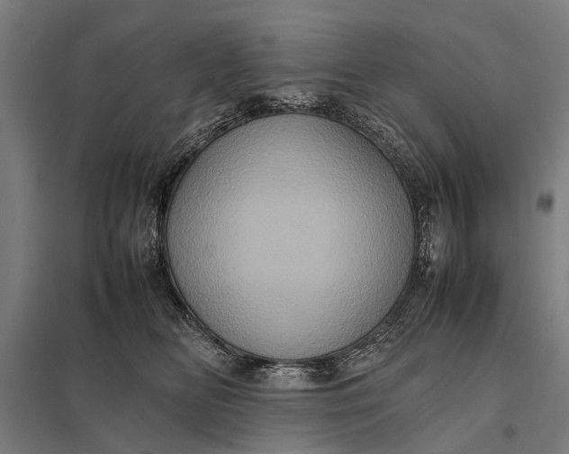 X0000097840518200803281227
