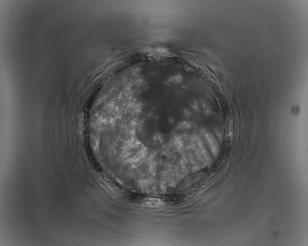 X0000097840519200803281227