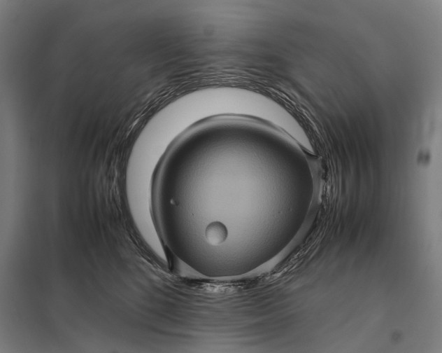 X0000097840520200803281227