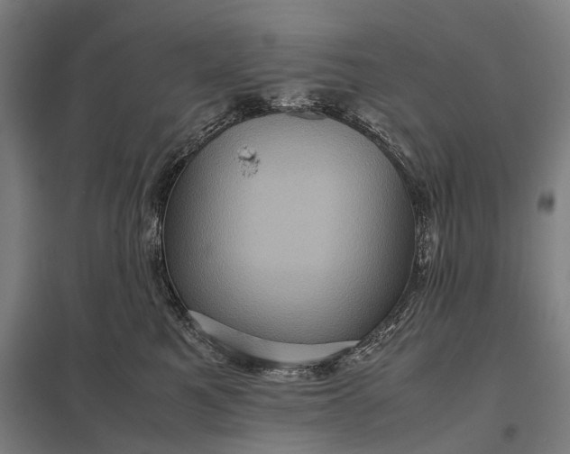 X0000097840521200803281227