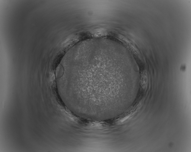 X0000097840523200803281227