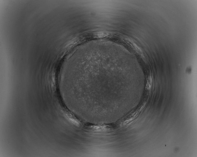 X0000097840524200803281227