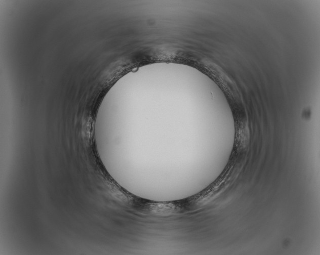 X0000097840525200803281227