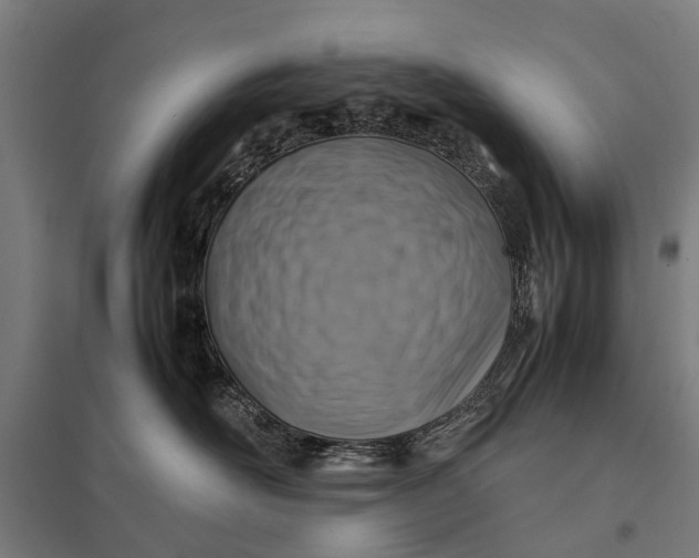 X0000097840526200803281227