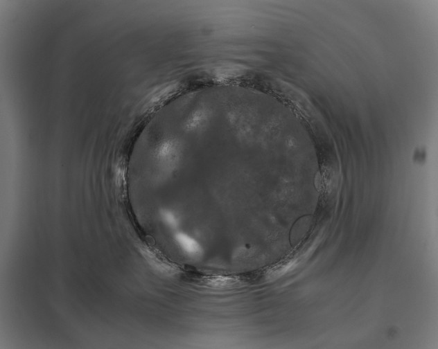 X0000097840527200803281227