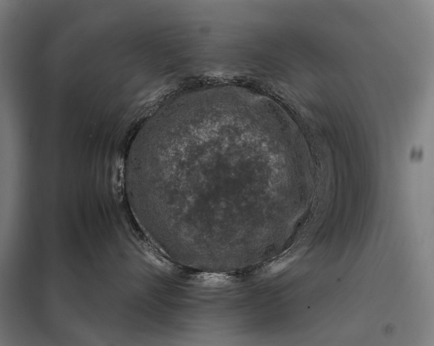 X0000097840528200803281227