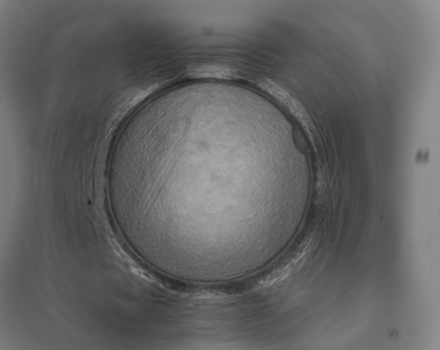 X0000097840529200803281226