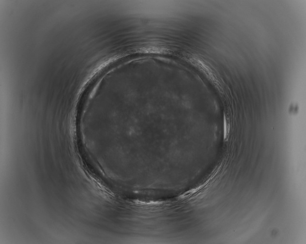 X0000097840531200803281226