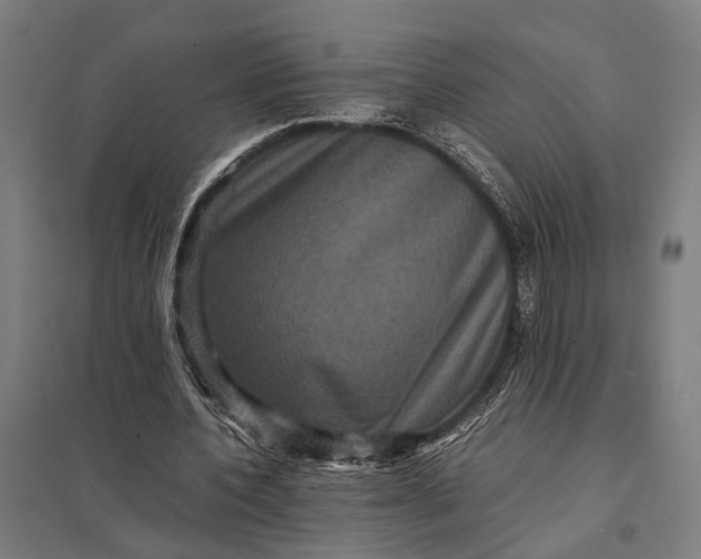 X0000097840532200803281226