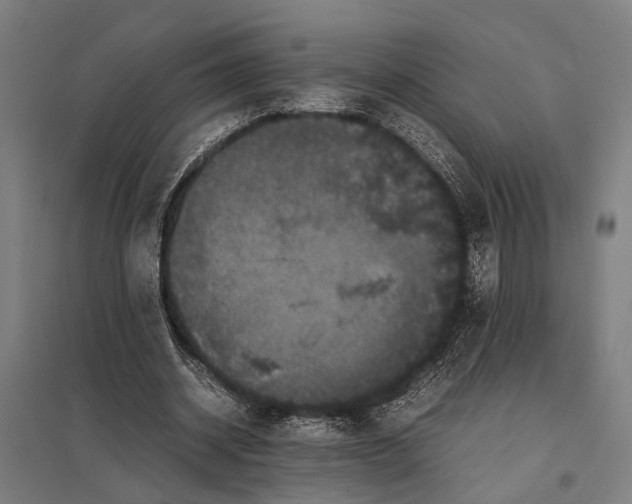 X0000097840534200803281226