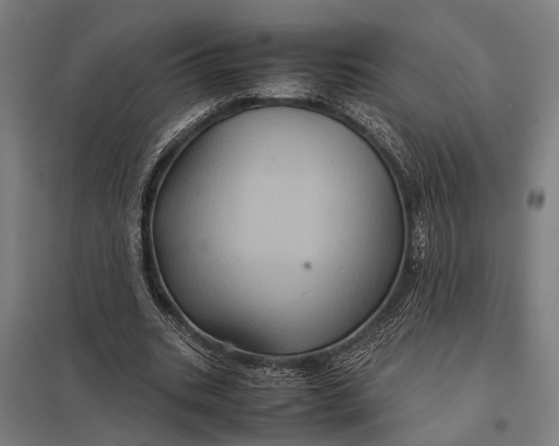 X0000097840535200803281226