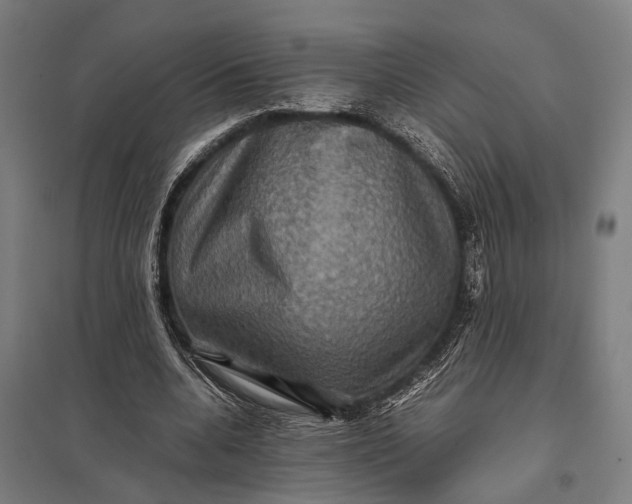 X0000097840536200803281226