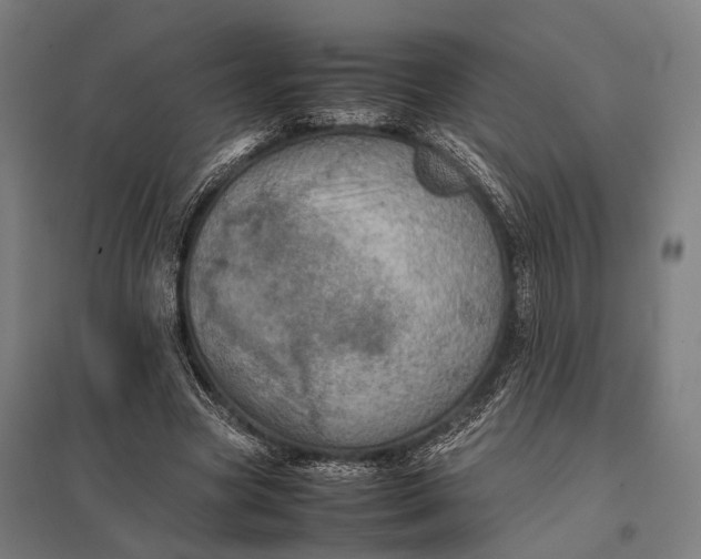 X0000097840537200803281226