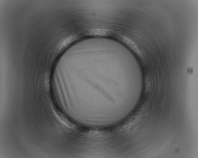 X0000097840538200803281226