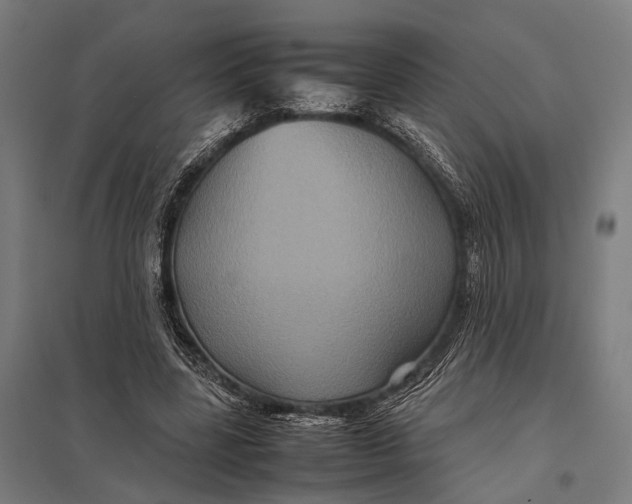 X0000097840539200803281226