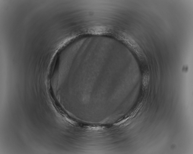 X0000097840540200803281226