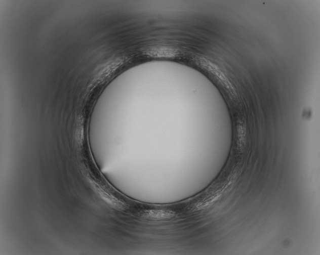 X0000097840541200803281226
