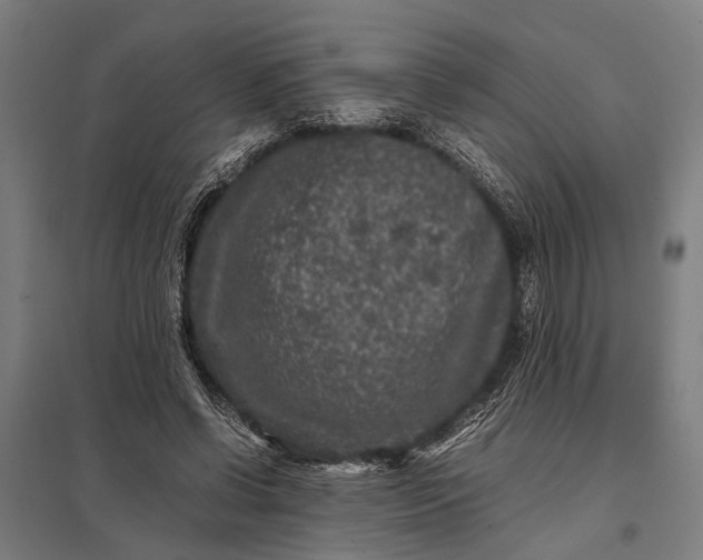 X0000097840542200803281226