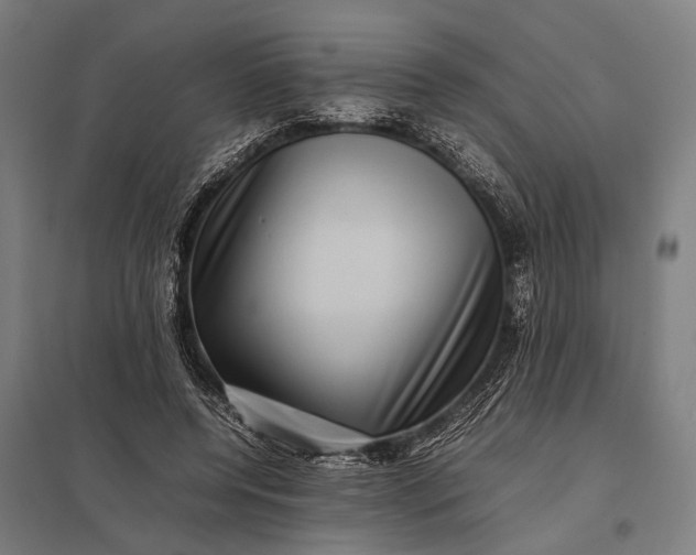 X0000097840544200803281226