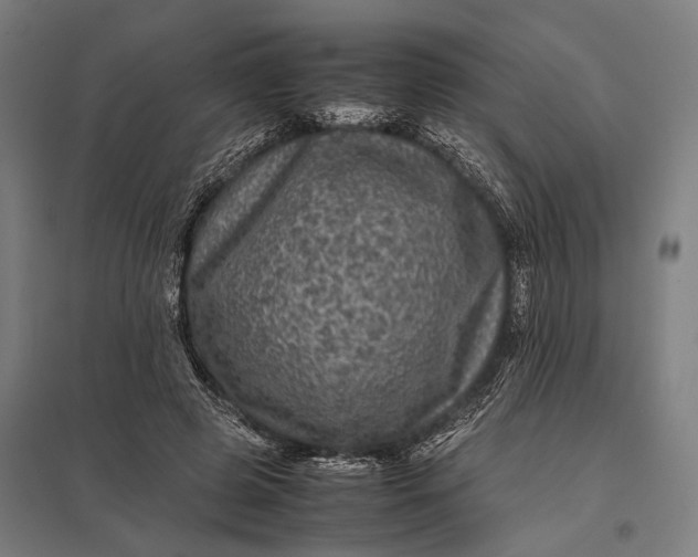 X0000097840545200803281226