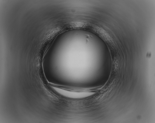 X0000097840546200803281226