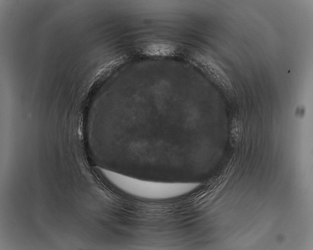 X0000097840547200803281226