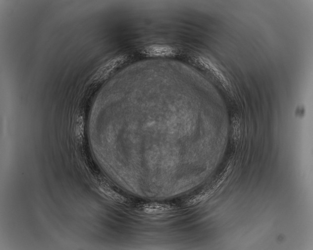 X0000097840549200803281226
