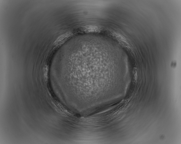 X0000097840550200803281226