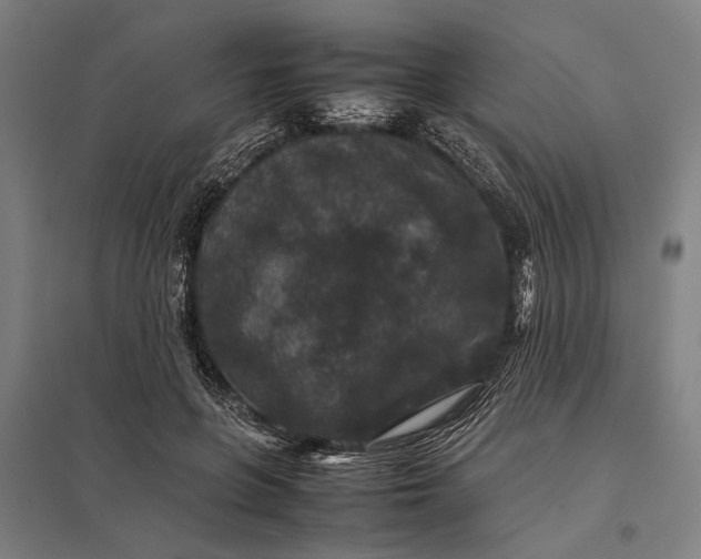 X0000097840551200803281226