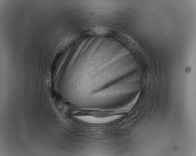X0000097840552200803281226