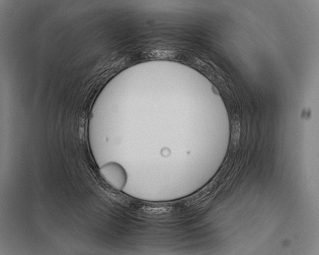 X0000097840553200803281226