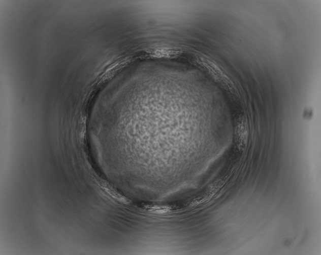 X0000097840554200803281226