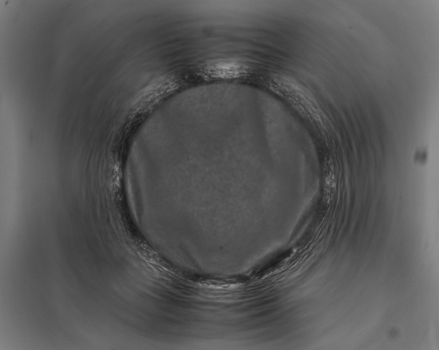 X0000097840555200803281226