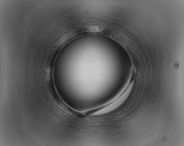 X0000097840556200803281226