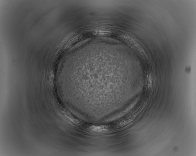 X0000097840557200803281226