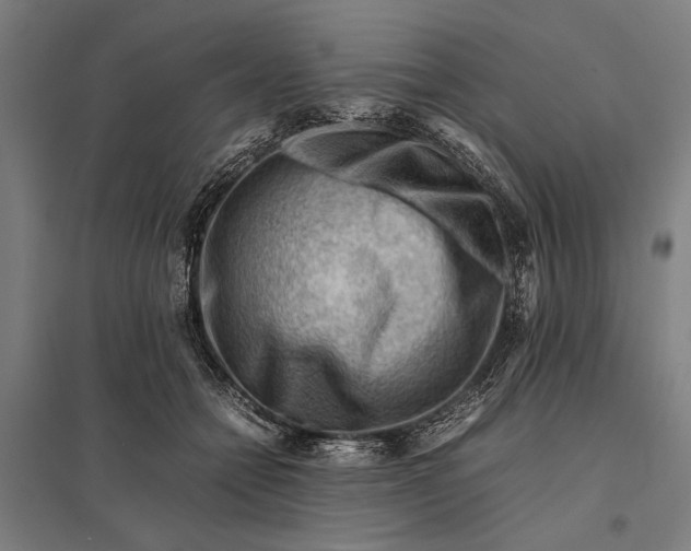 X0000097840558200803281226