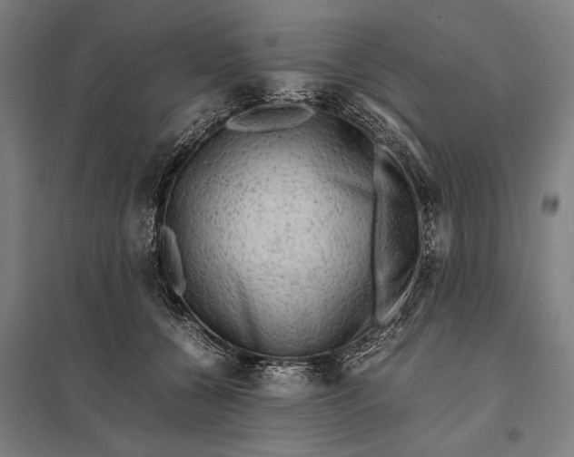 X0000097840560200803281226