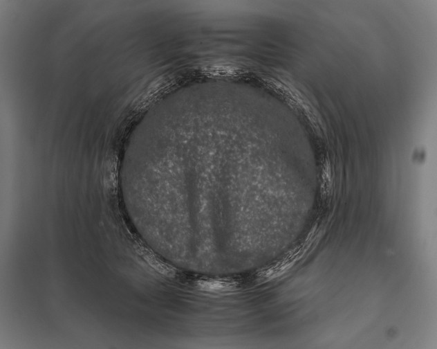 X0000097840561200803281226