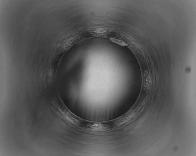 X0000097840562200803281226