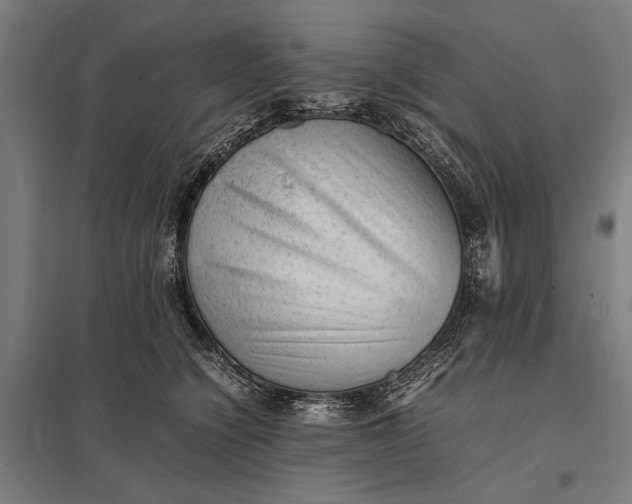 X0000097840564200803281227
