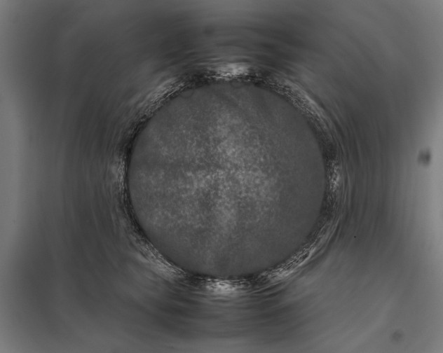 X0000097840565200803281227