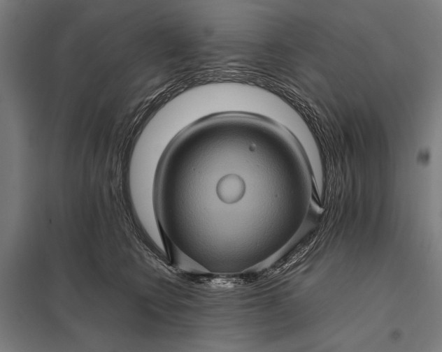X0000097840566200803281227