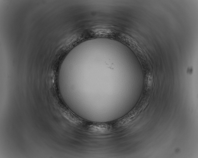 X0000097840567200803281227