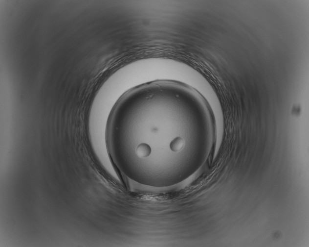 X0000097840568200803281227