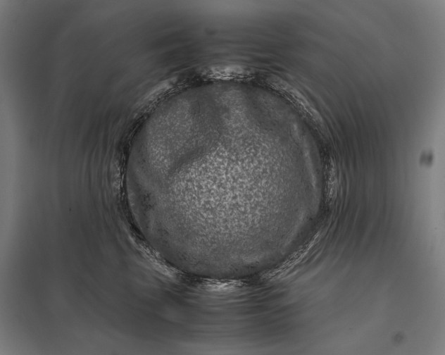 X0000097840569200803281227