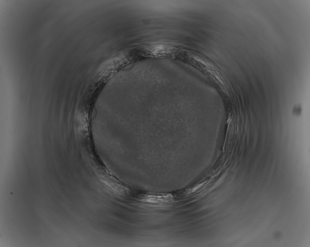 X0000097840571200803281227
